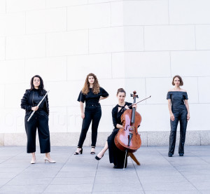 ensemble in transition