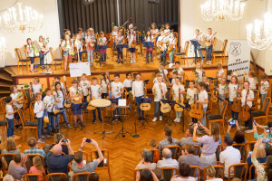 Mandolinen- und Gitarrenverein 1923 Wickenrode e.V.