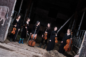 Musikalisches Beikraut